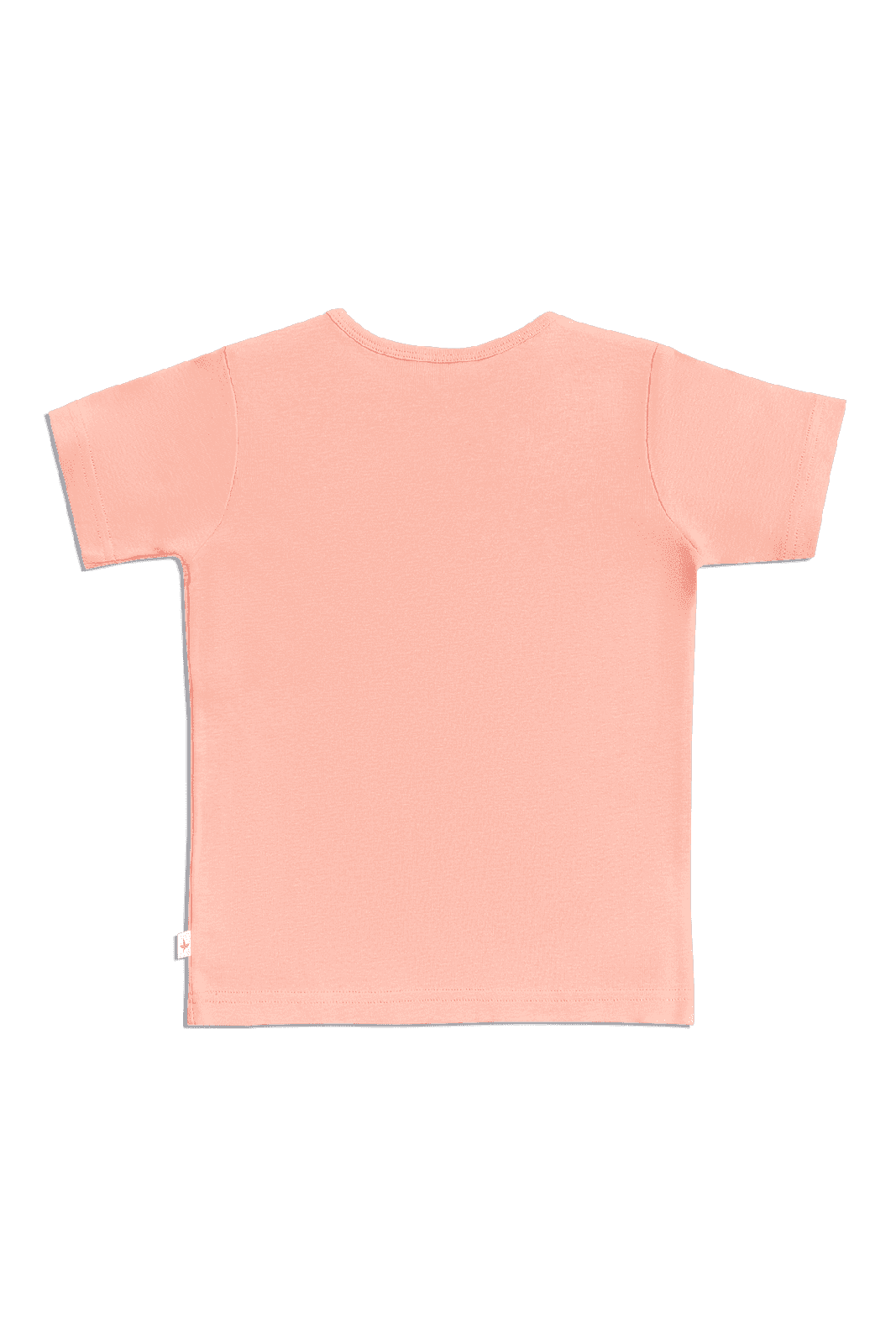 2010 VR | Kinder Basic Kurzarmshirt - Altrosa