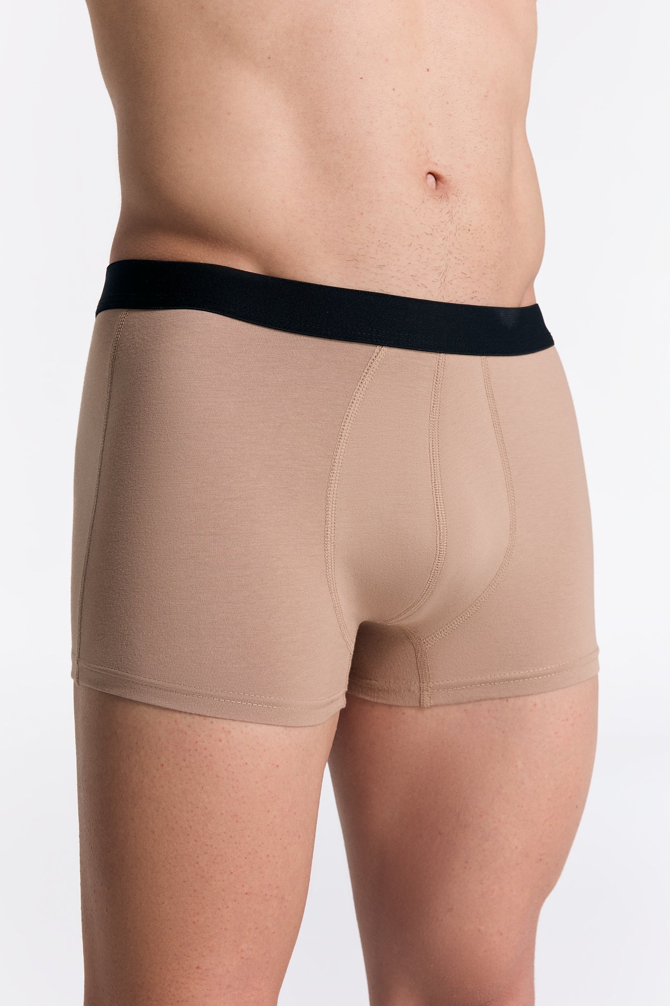 2121-121 | Herren Trunkshorts - Braungrau