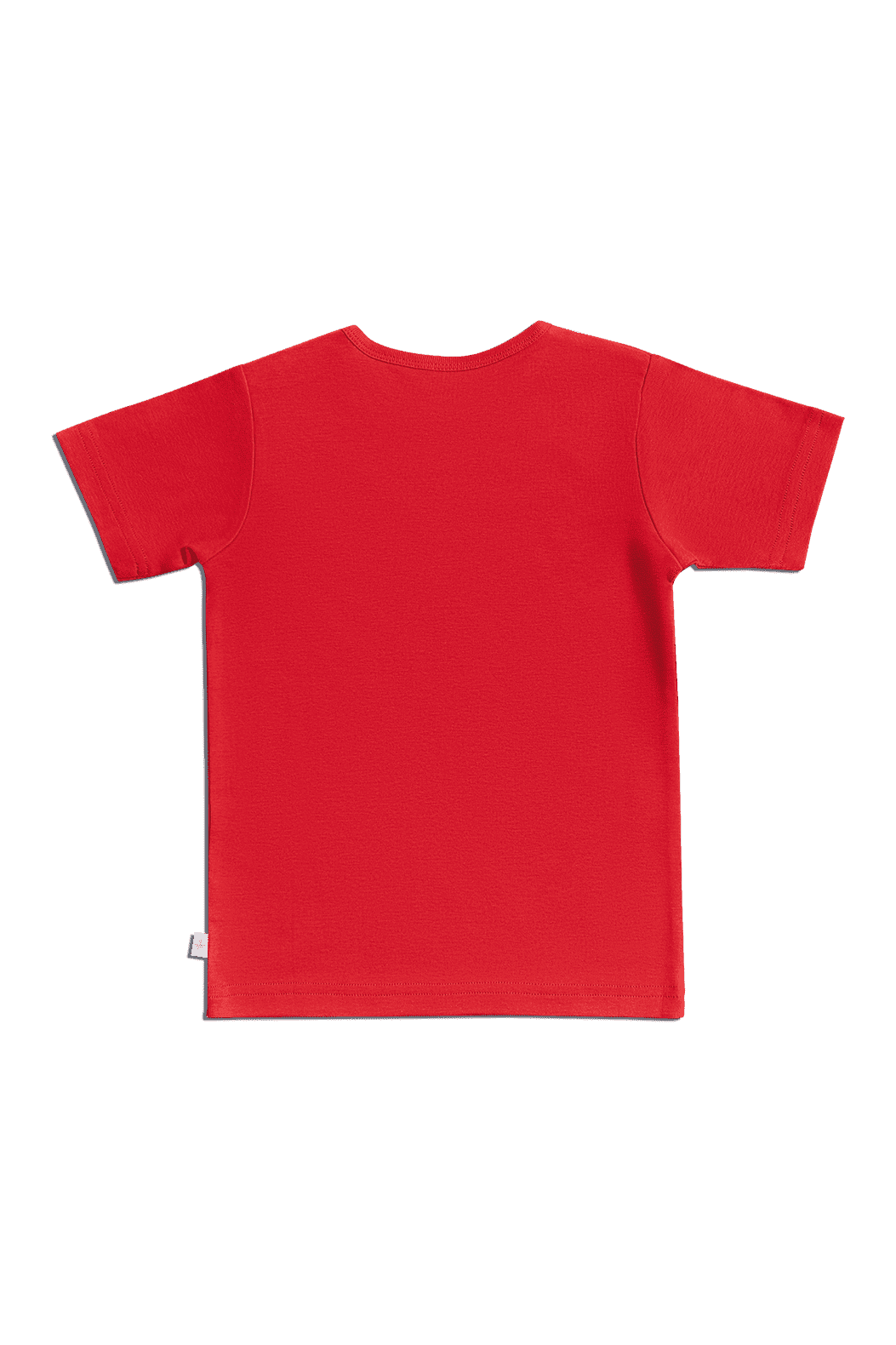 2469 | Kinder Basic Kurzarmshirt - Ziegelrot