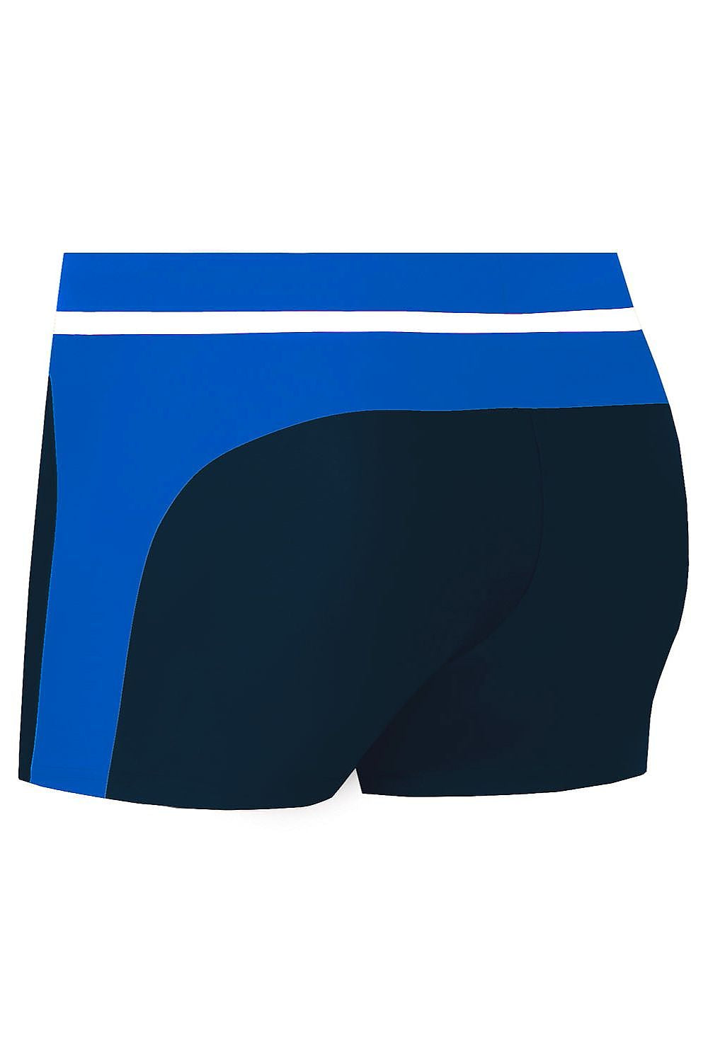 Swimming trunks model 229178 Barontex