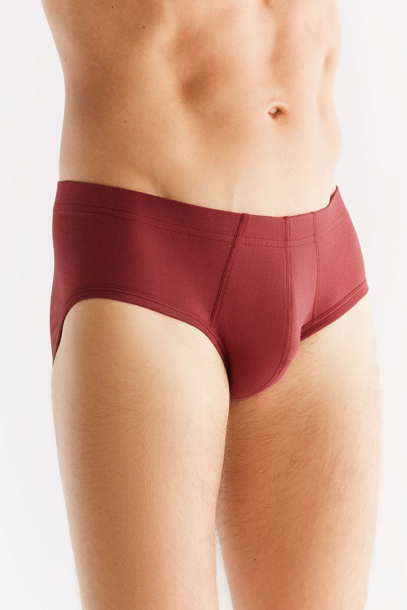 2112-030 | Herren Slip - Bordeaux
