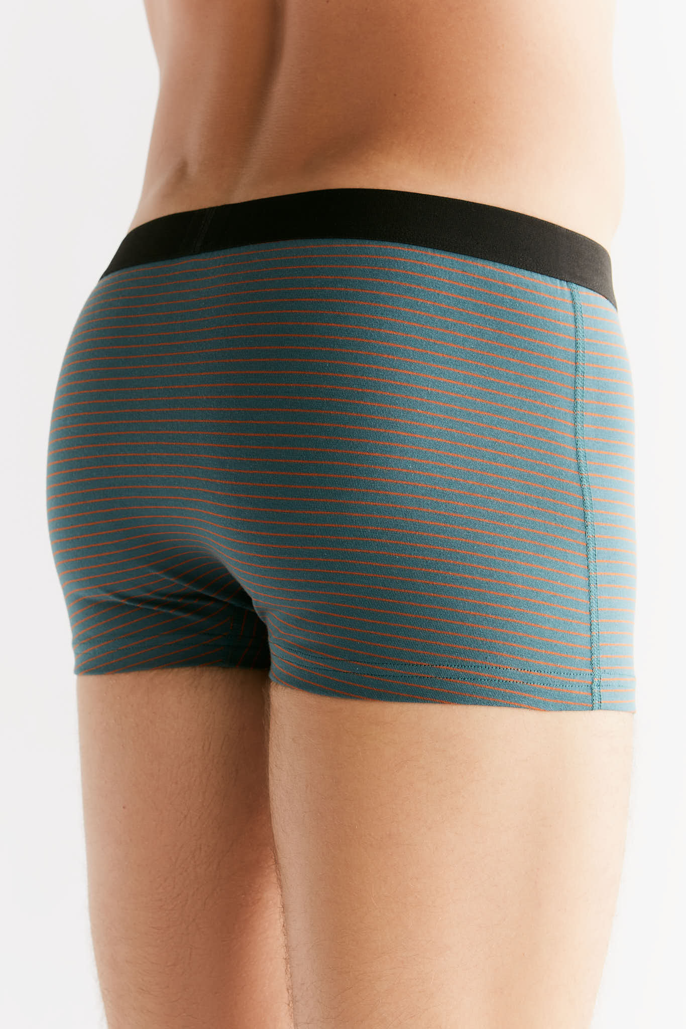 2121-064 | Herren Trunkshorts - Tanne/Tabasco