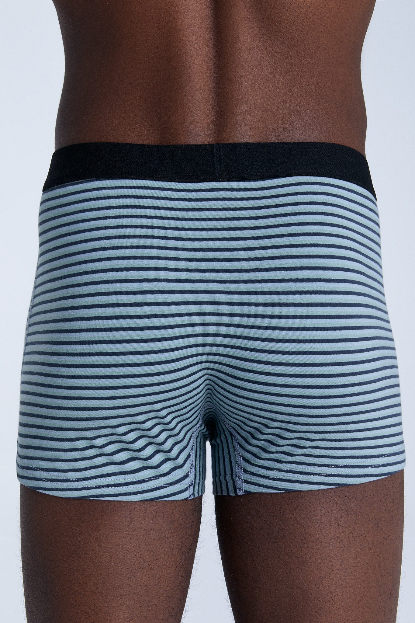 2121-083 | Herren Trunkshorts - Agave/Navy/Graublau