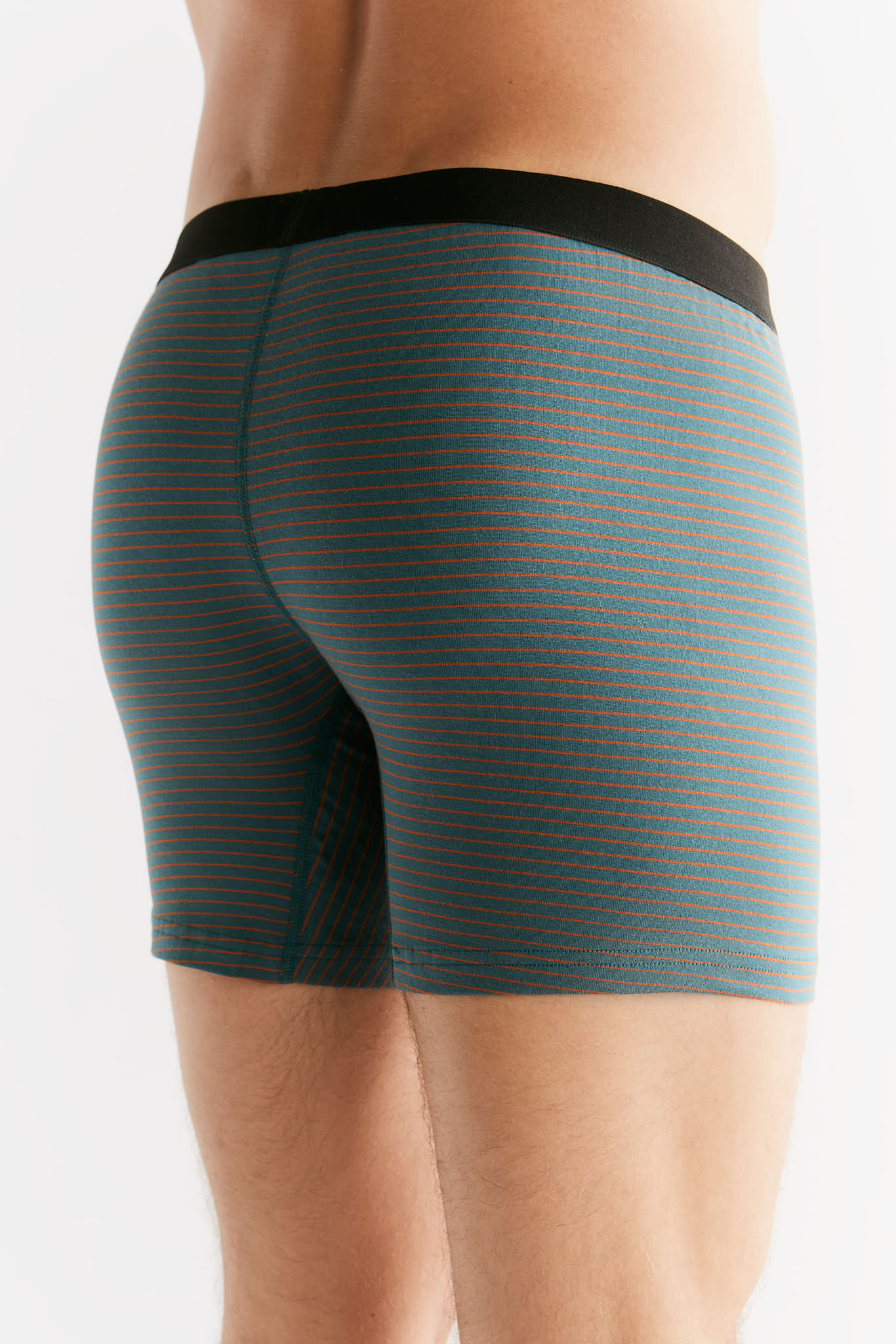 2131-064 | Herren Boxershorts -Tanne/Tabasco