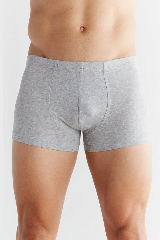 2141-03 | Herren Retroshorts - Grau-Melange
