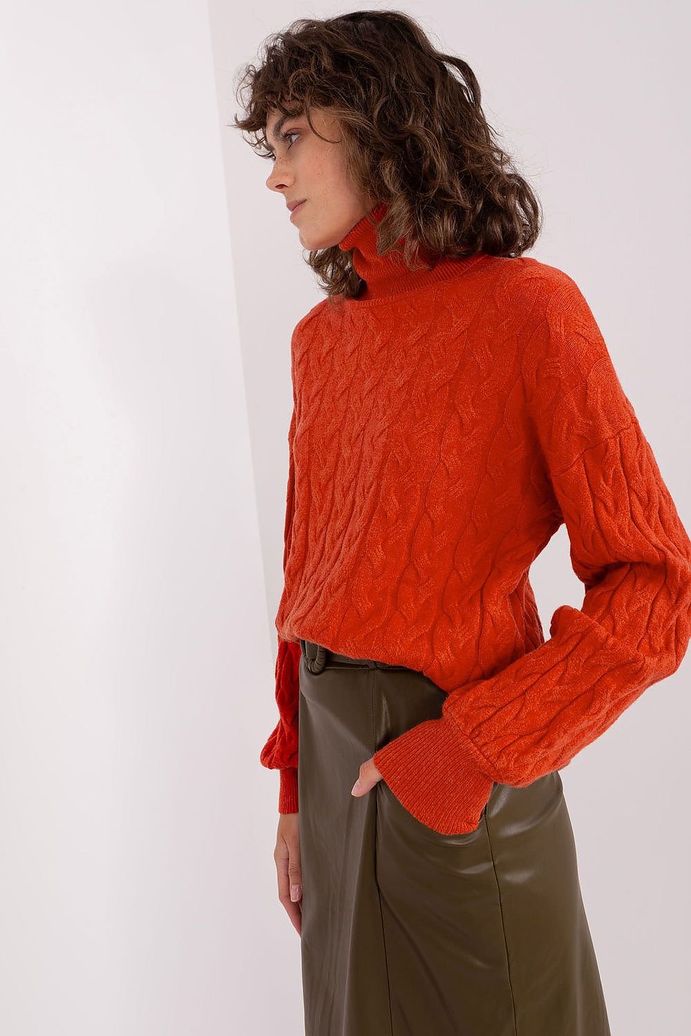 Turtleneck model 188309 AT