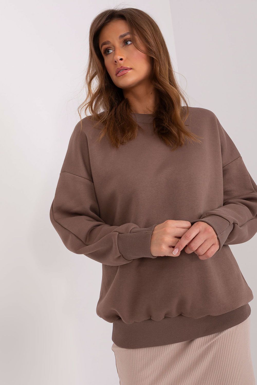 Sweatshirt model 191752 Relevance