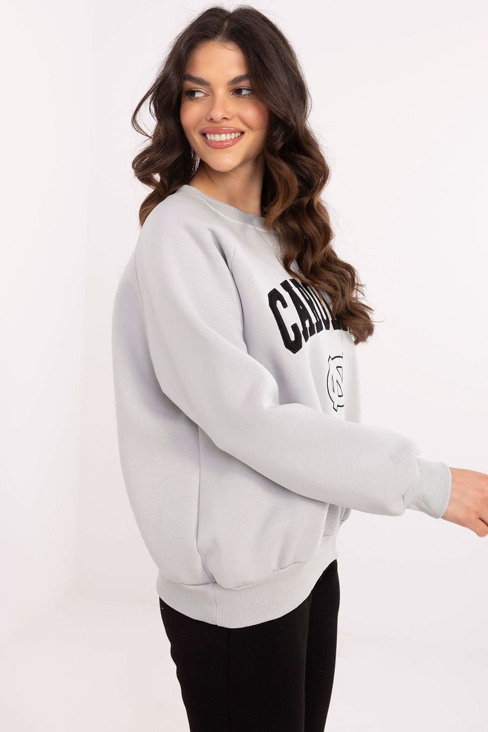 Sweatshirt model 206358 Factory Price