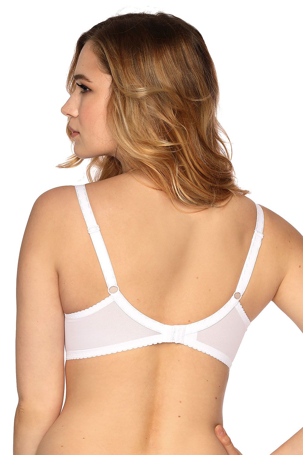  Semi-soft model 134379 Gaia 