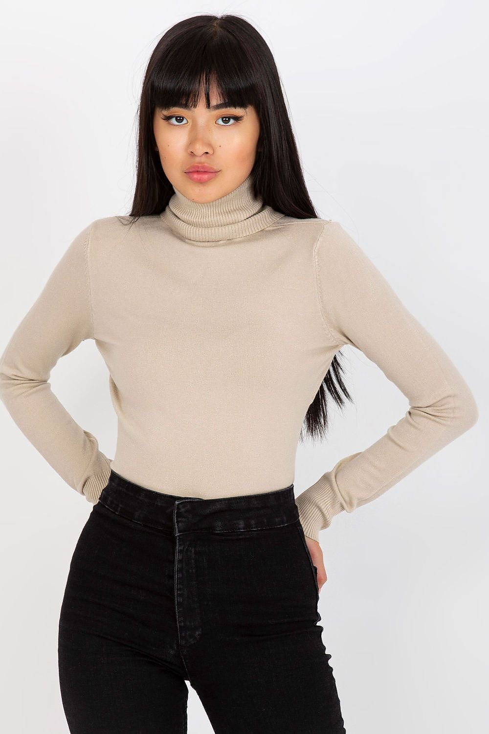 Turtleneck model 171739 NM