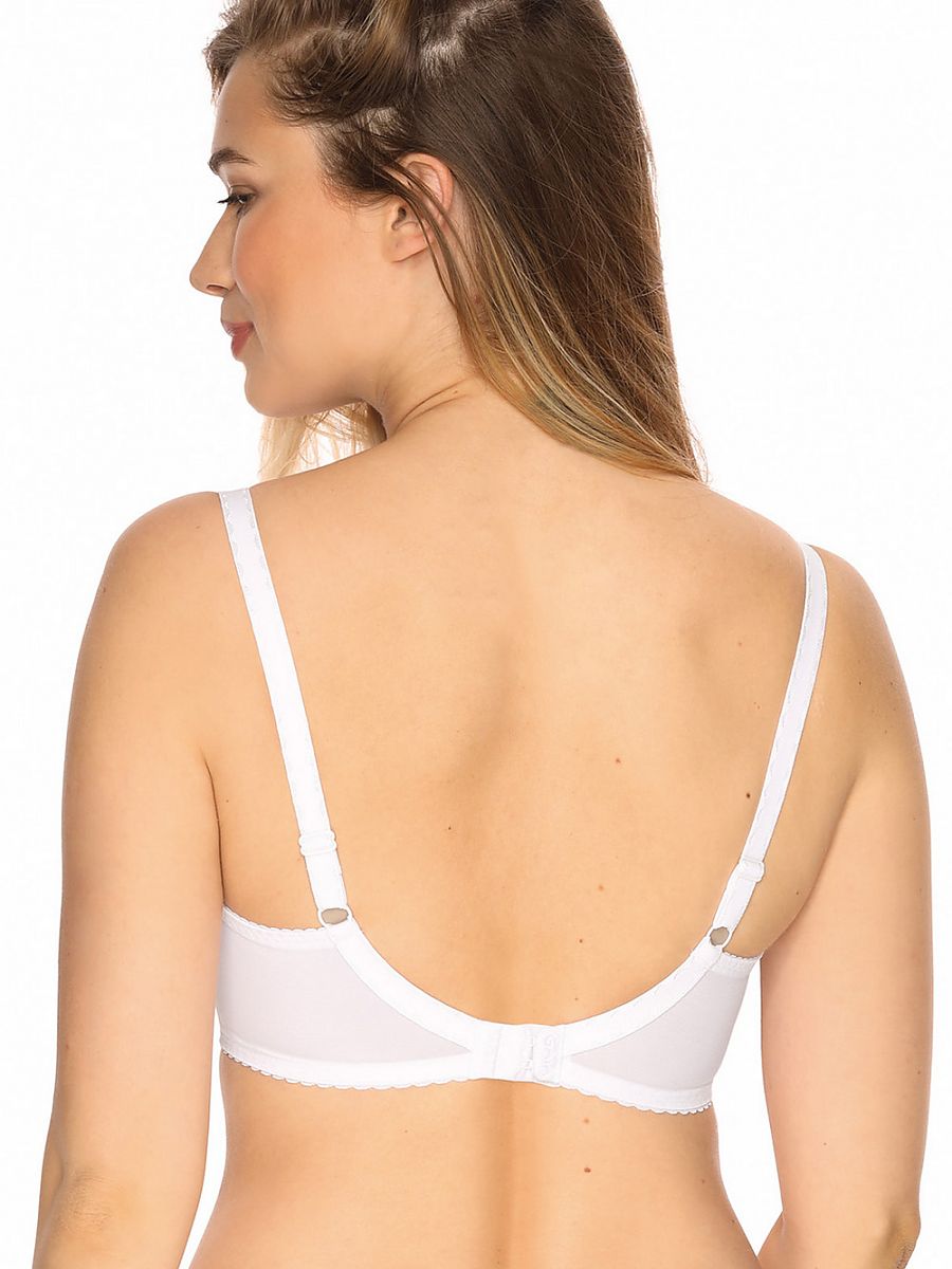 Semi-soft model 140082 Gaia