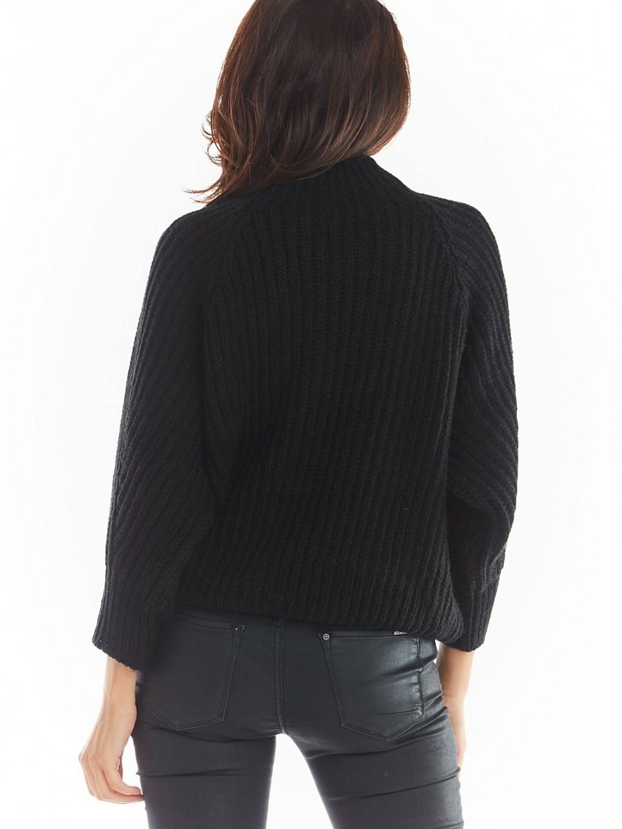 Jumper model 149743 awama