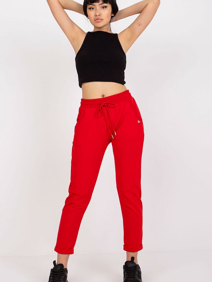 Tracksuit trousers model 166015 BFG