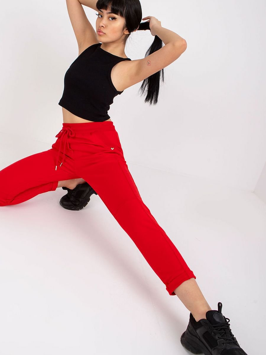 Tracksuit trousers model 166015 BFG